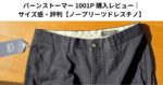 バーンストーマー 1001P 購入レビュー｜サイズ感・評判【ノープリーツドレスチノ】