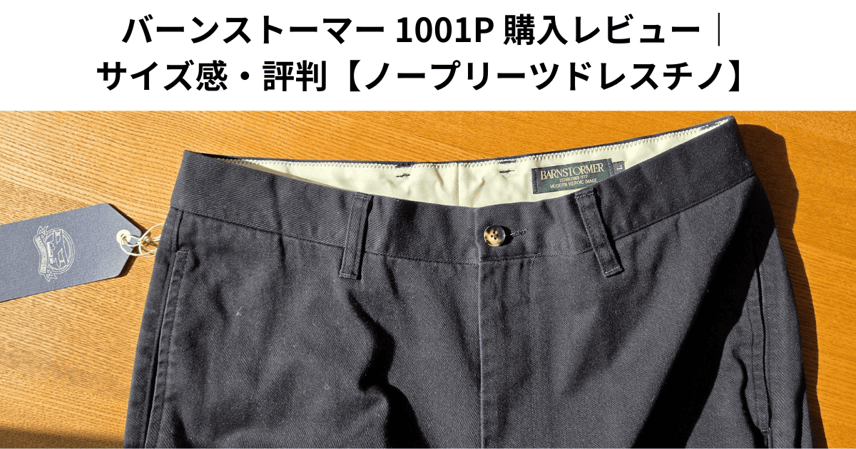 バーンストーマー 1001P 購入レビュー｜サイズ感・評判【ノープリーツドレスチノ】